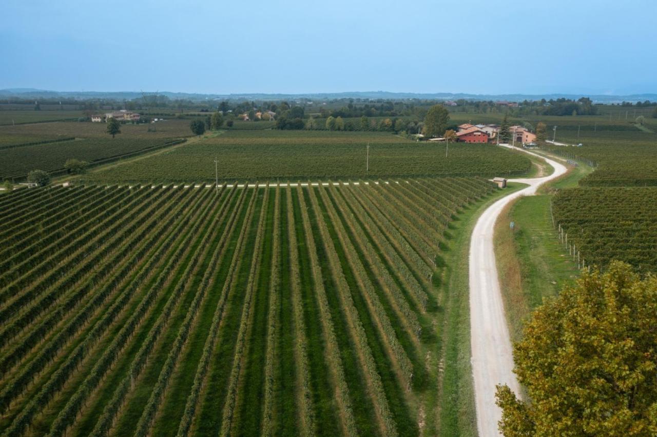Agriturismo Feliciana Pozzolengo Exterior foto