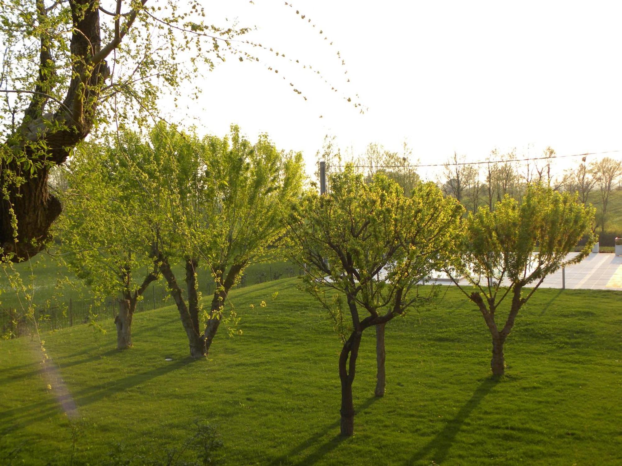 Agriturismo Feliciana Pozzolengo Exterior foto